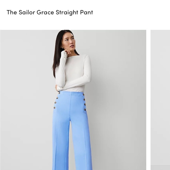 Ann Taylor Blue Cropped Pants - Picture 6 of 6